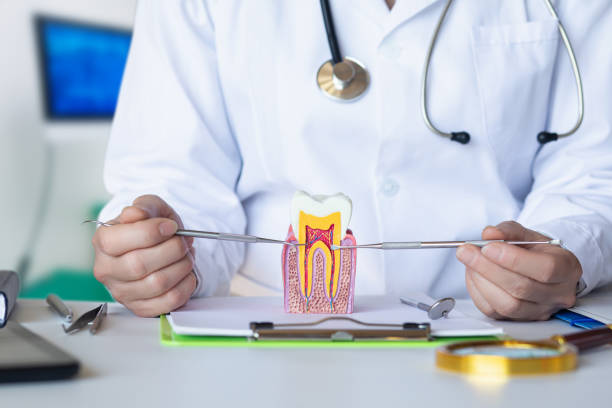 Best Urgent Care for Lost Fillings or Crowns in Drexel, OH